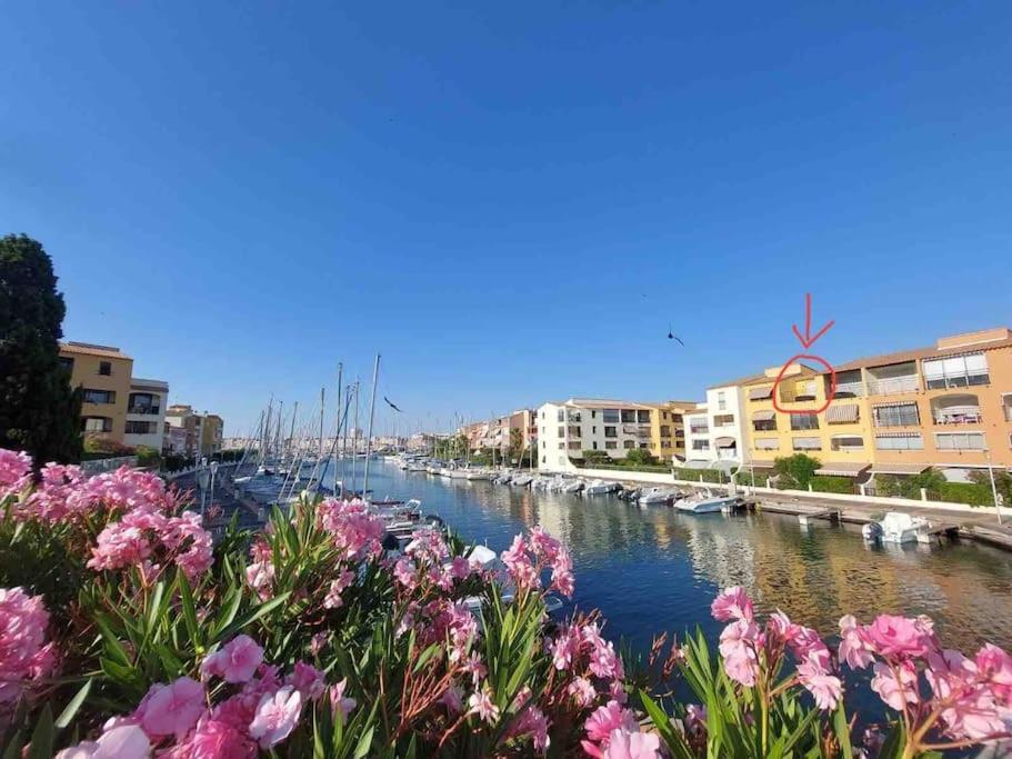 Cap'Nomad Studio Cote Port - Terrasse - Piscine - Parking Agde Eksteriør billede